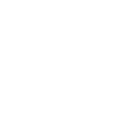BizSetup LLC.